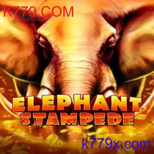 ElephantStampede